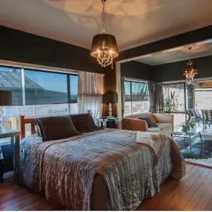 Skyline Skyrides Premium Property, Host Info For Pets Rotorua